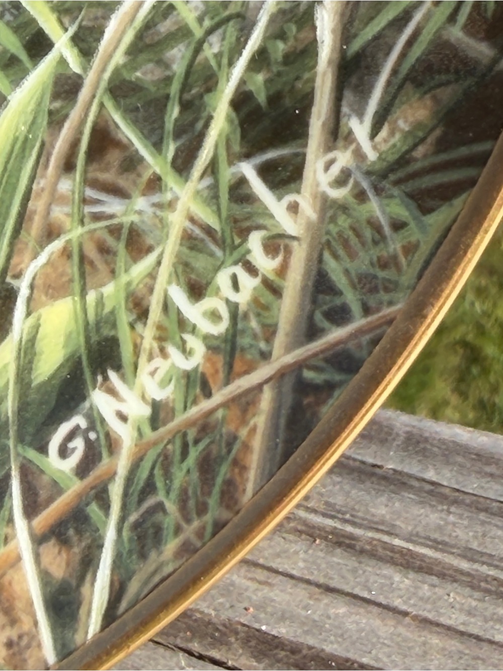 “Wild Roses” Collector Plate Decor | Bunny Rabbit | So Cute! - Picture 8 of 10